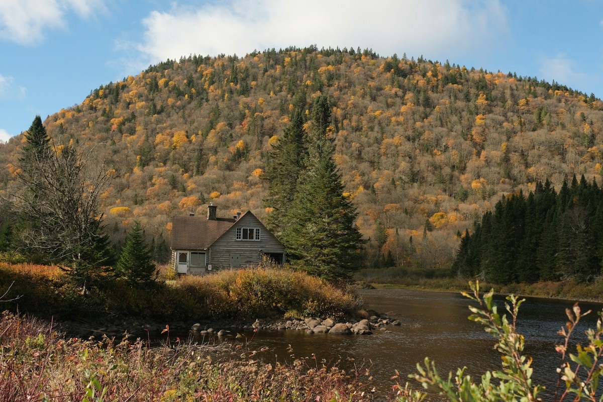 Mountain cabin surrounded by autumn foliage