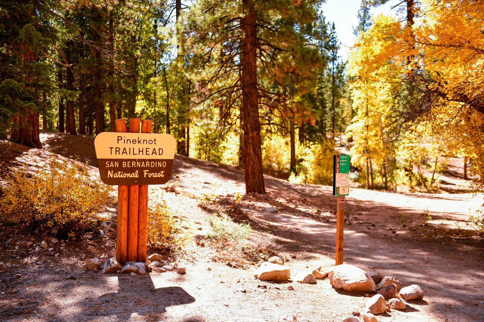 The Village at Big Bear Lake among the pines
