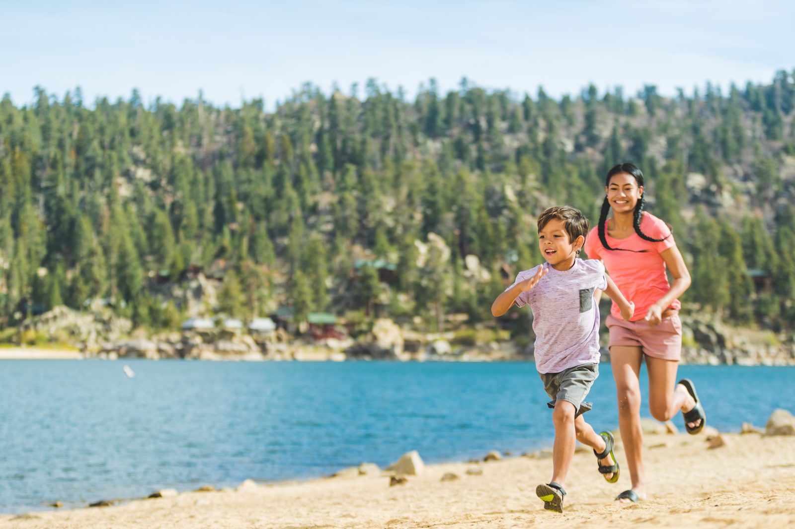 Spring greenery under the Big Bear pines