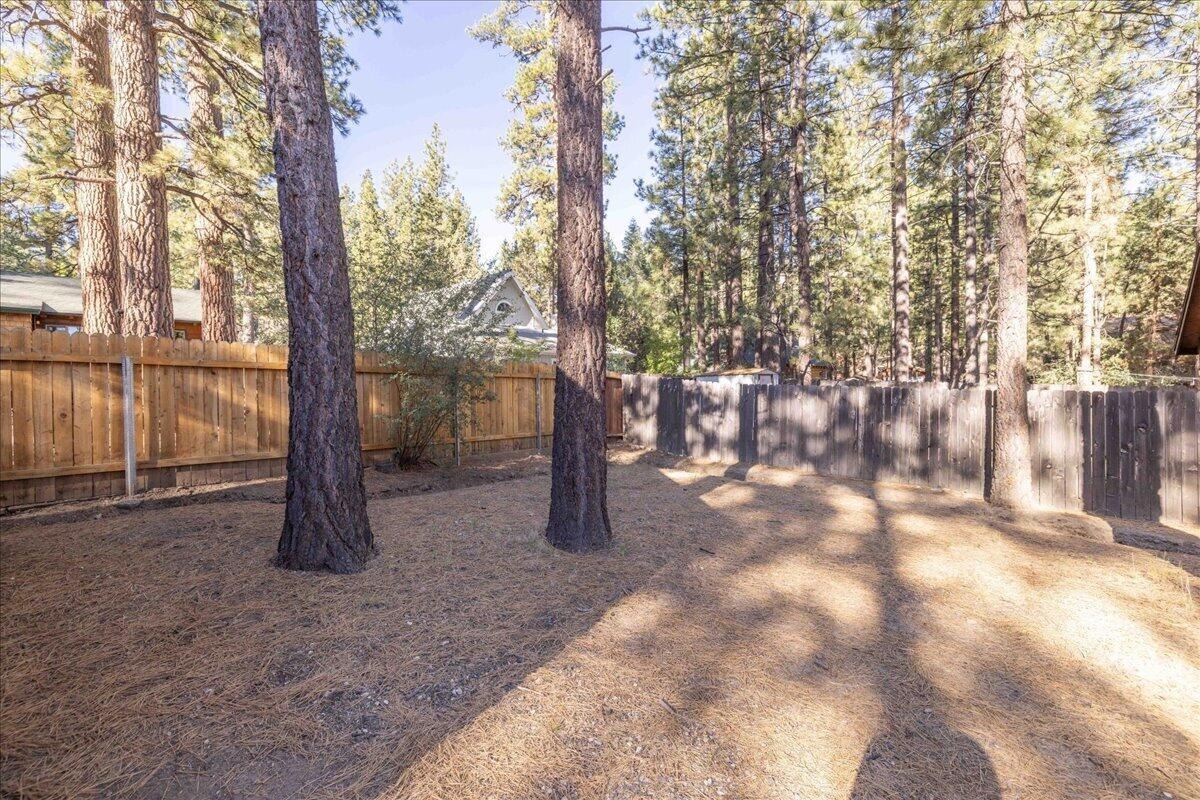 Partially fenced, level yard shaded by mature pines