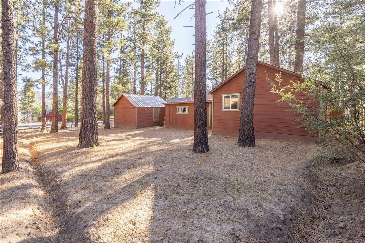 Two detached outbuildings on the property among mature pines