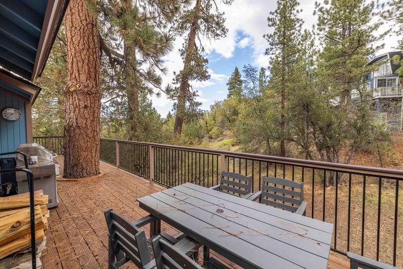 Back deck and backyard